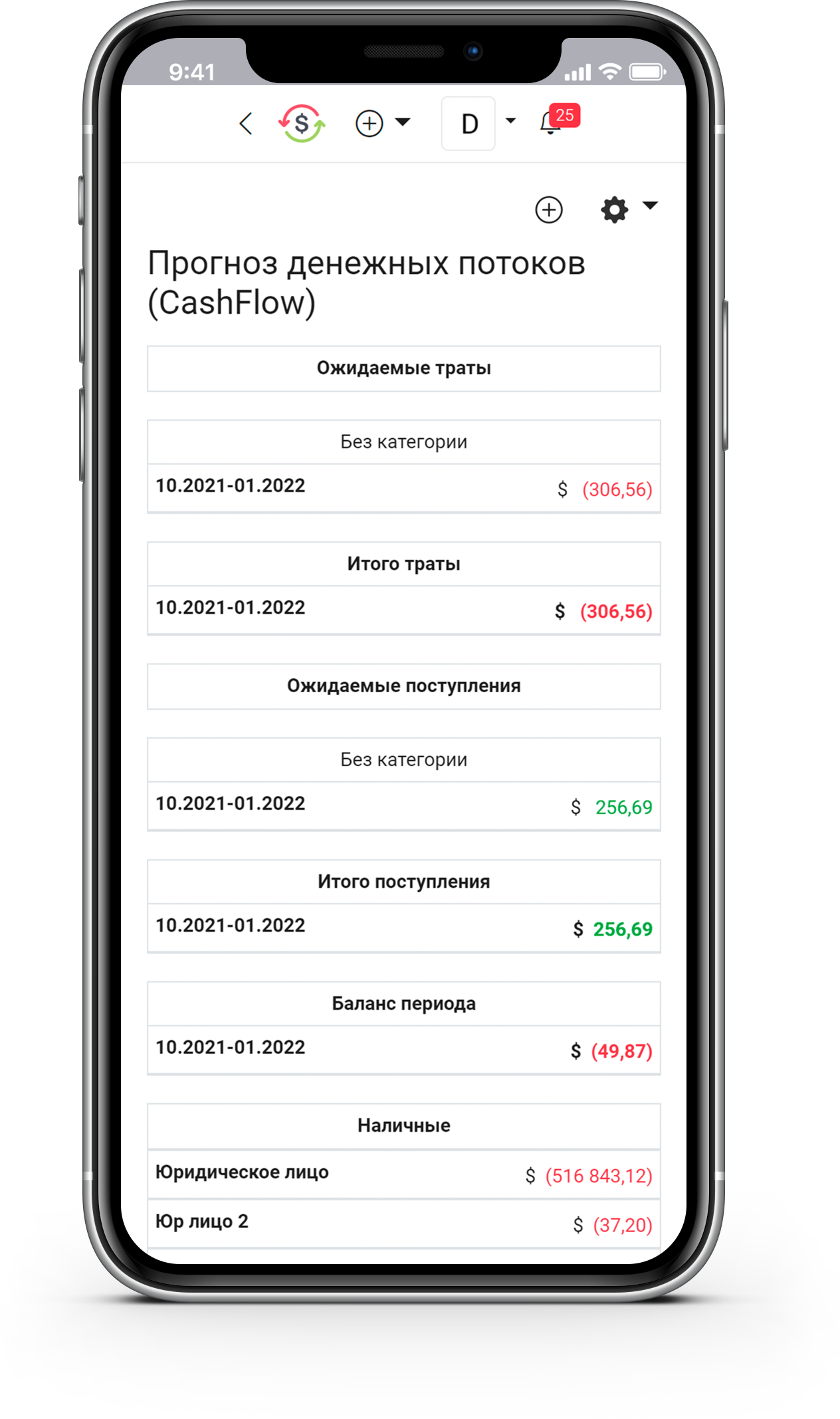 Application Cashflow forecast